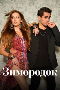 Смотрите Зимородок